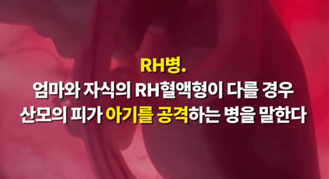 매주 피를 뽑는 남자.jpg | 인스티즈