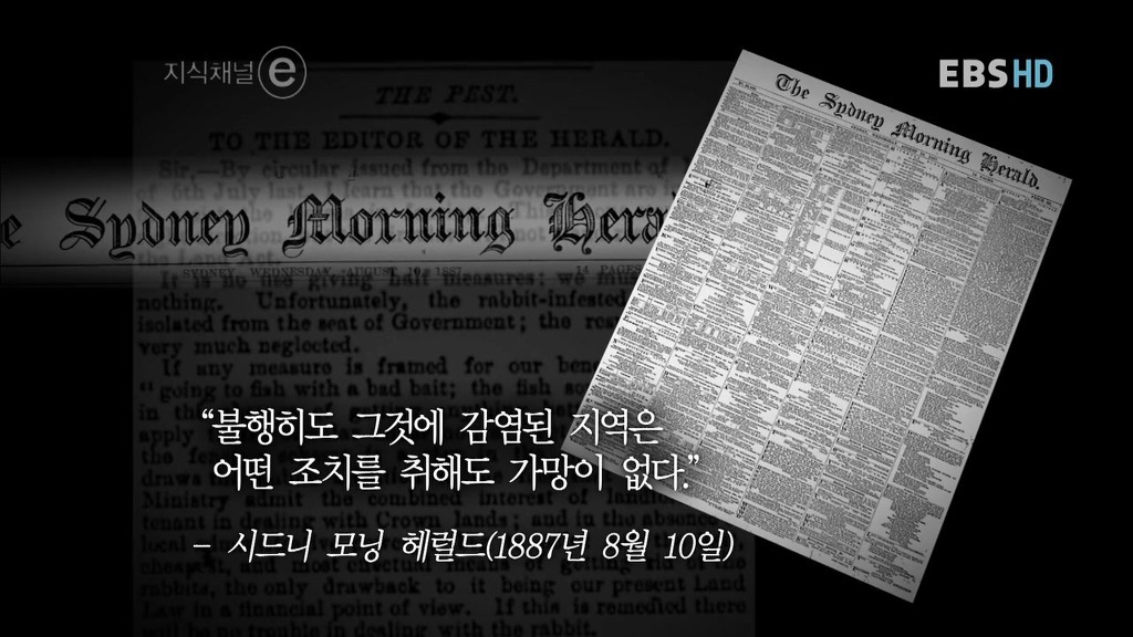 호주의 토끼전쟁 | 인스티즈