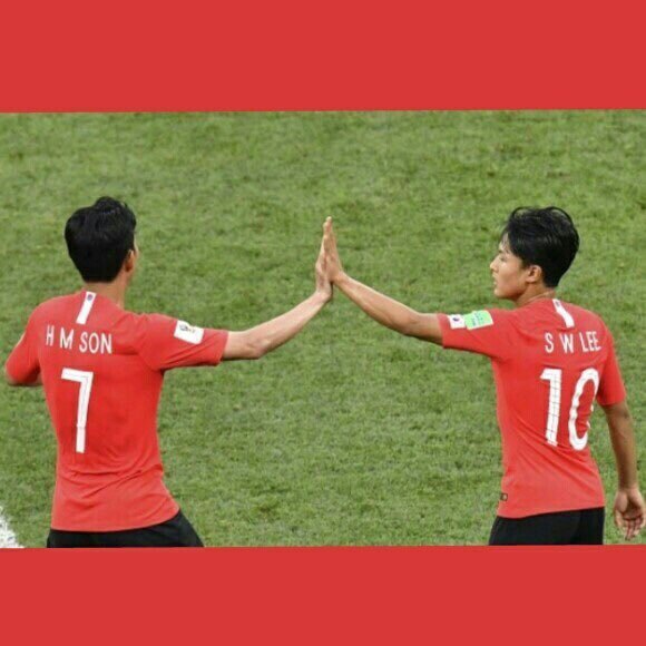 손차이 이미지