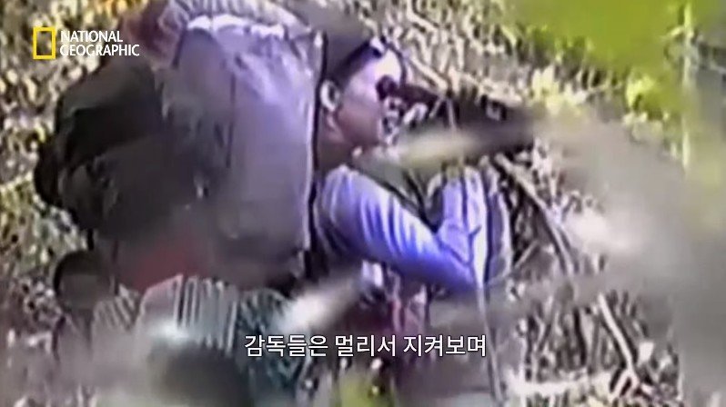 1999년, 새로운 장르의 공포영화가 인터넷을 통해 홍보되다 | 인스티즈