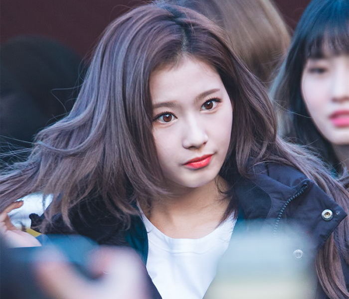 트와이스 사나이 홀리는 사나 | 인스티즈