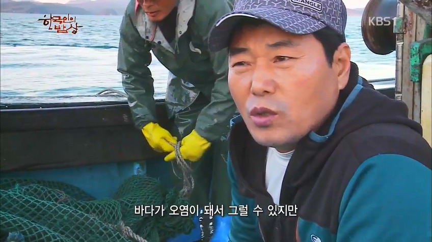 한국인의 밥상 - 인생이 허기질 때 장도로 가라 | 인스티즈