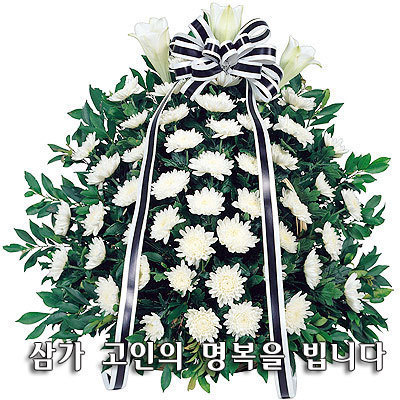 김*종 이미지
