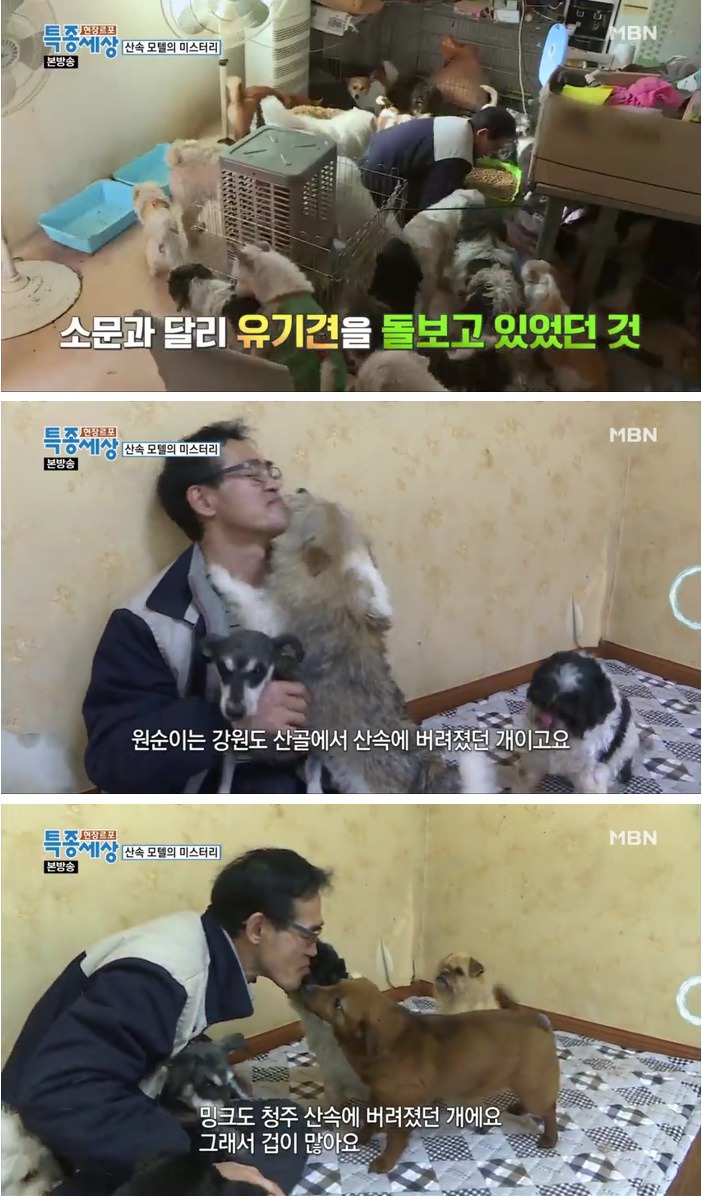 엔젤모텔 이미지