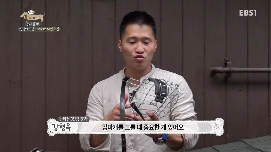 반려견의 입마개 거부감 없애는 팁 .gif | 인스티즈