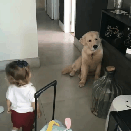 인절미들.gif | 인스티즈