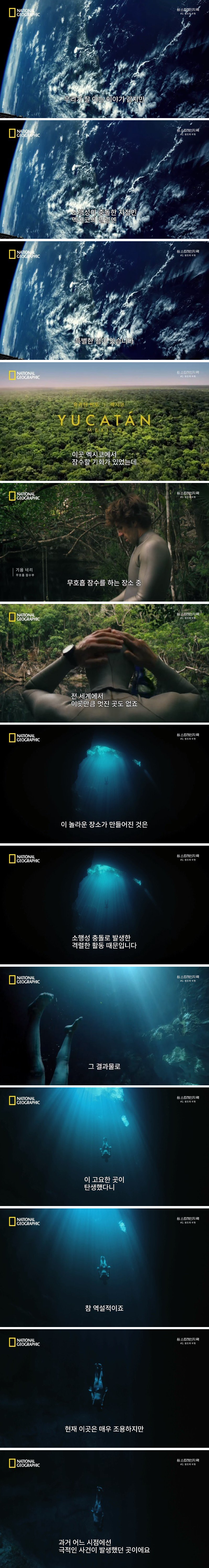 소행성 충돌이 만들어낸 밀림 속 수중 동굴 | 인스티즈