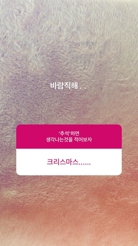 오늘자 탱구 인스타 답변 | 인스티즈