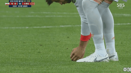 새야 여긴 위험하단다.gif | 인스티즈