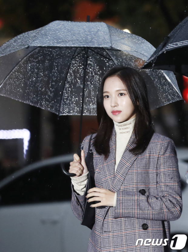 묘이 미나 | 인스티즈