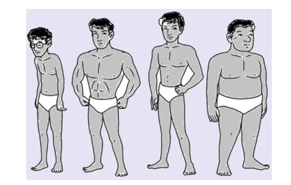 회원 700명 대상, 체형 조사 결과(마름, 평범, 통통 등) | 인스티즈