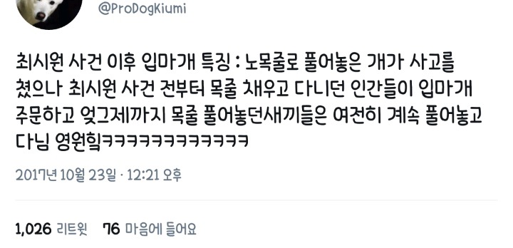 최시원 사건 이후 목줄을 해도 시비털리는 견주들 | 인스티즈
