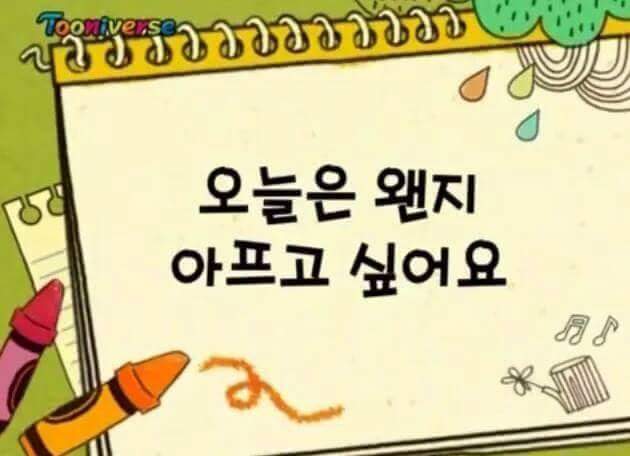 가족사진 찍는 댕댕이들 gif | 인스티즈