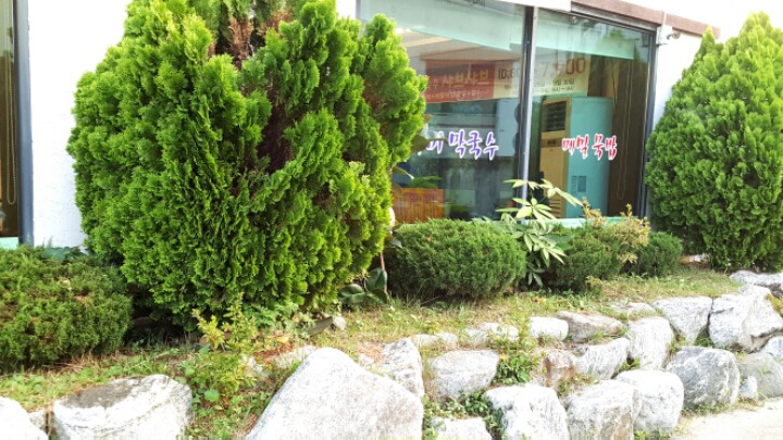 봉평동치미막국수 이미지