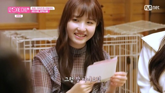 아이즈원, 세계 만국공통인 현실남매 | 인스티즈