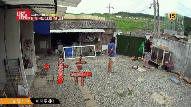 미국 남편 VS 한국 마누라 | 인스티즈