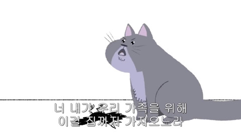 [동물] 고양이의 속마음 | 인스티즈