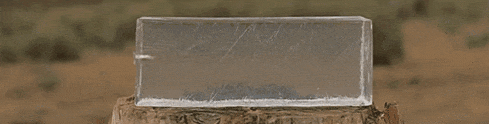 총에 맞으면 죽는 이유.gif | 인스티즈