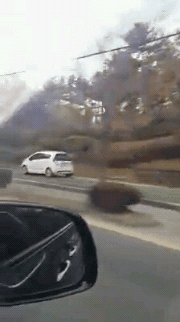 뭔가 이상한 자동차 | 인스티즈
