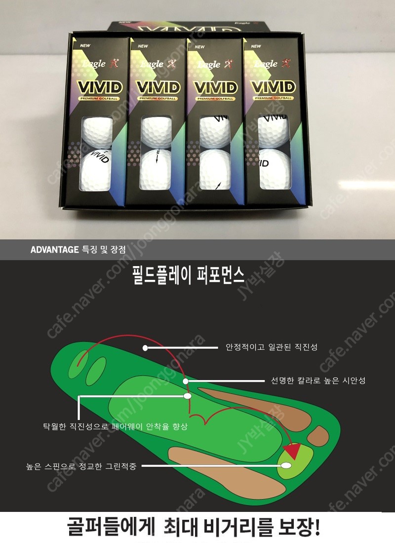 이글엑스 이미지