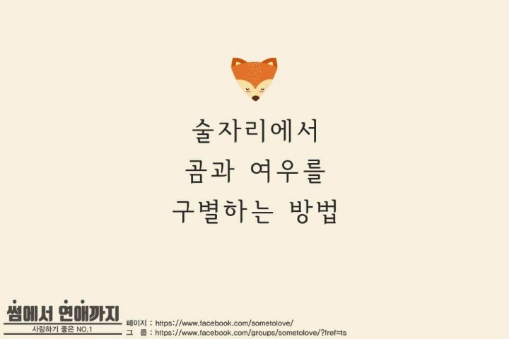 술자리에서 곰과 여우 구분하는법 | 인스티즈