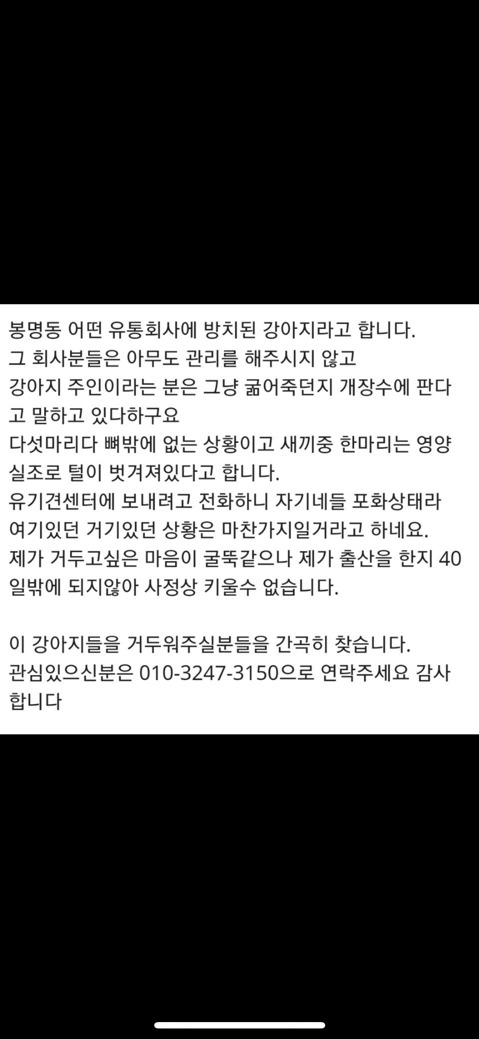 최강한파속 죽어가는 가족강아지들 (청주 봉명동) | 인스티즈