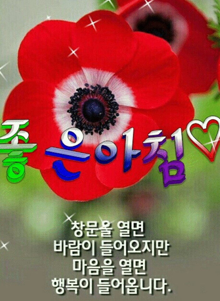 행복한아침 이미지