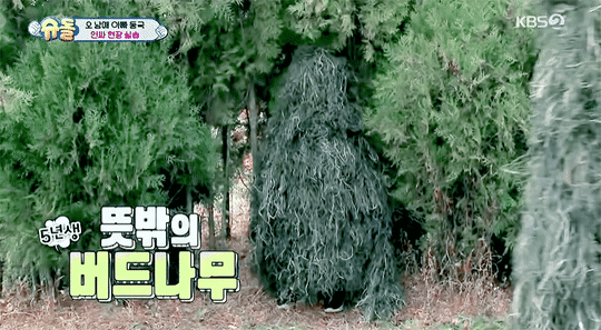 슈돌) 이정도 정성이면 연예대상 줘야함 | 인스티즈