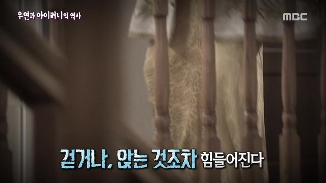 [서프라이즈] 우연과 아이러니의 역사.jpg | 인스티즈