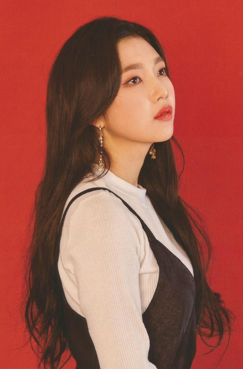 2018년 첫 레드벨벳 | 인스티즈