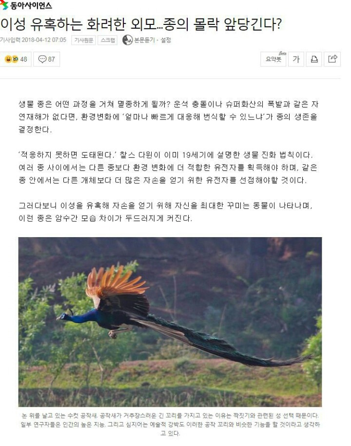 잘생기고 예쁘면 멸종.... | 인스티즈
