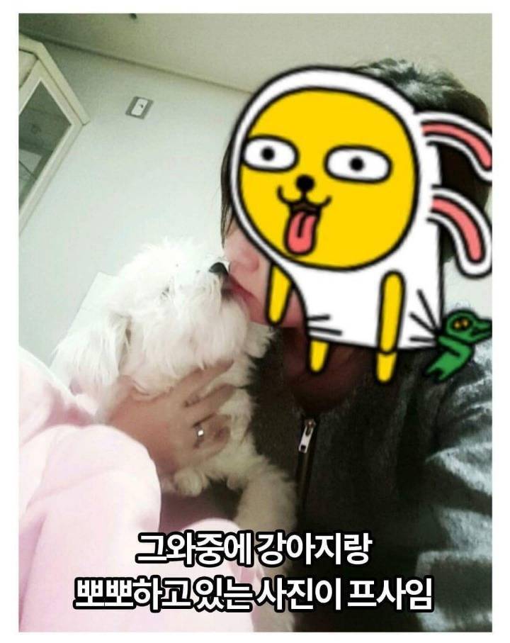 고양이카페 망하자 원룸에 가두고 죽게 만듬 (모자이크 된 사체사진 주의) | 인스티즈