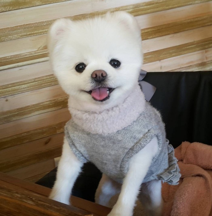 훈훈함 가득한 버스 | 인스티즈