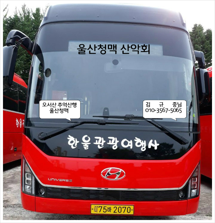 태화여행사 이미지