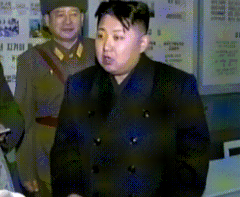 이만한 돼지가 있었는데... | 인스티즈