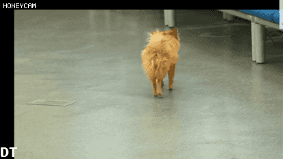 콩고 왕자 라비의 한국행.jpg | 인스티즈