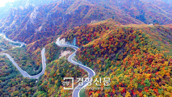 사진기자들이 포착한 2017년 단풍들.jpg | 인스티즈