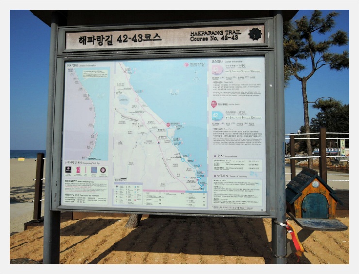 해파랑길 42코스 이미지