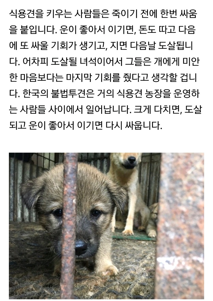강형욱 "왜 개만 먹으면 안돼?"에 대해 | 인스티즈