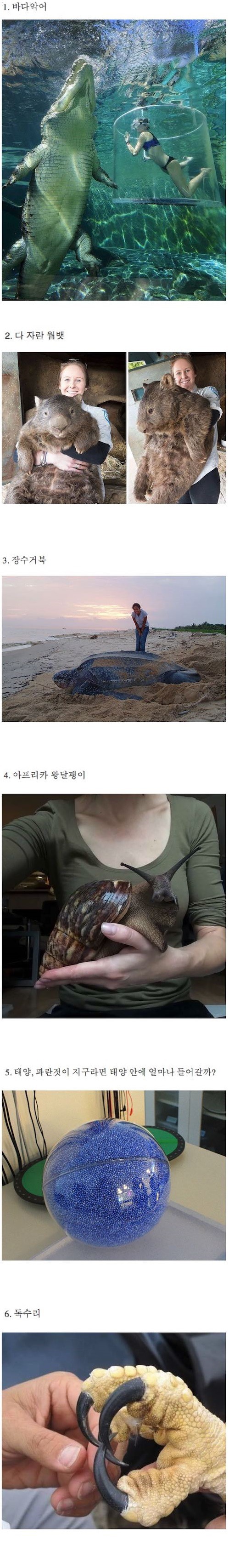 생각보다 거대한것들 | 인스티즈