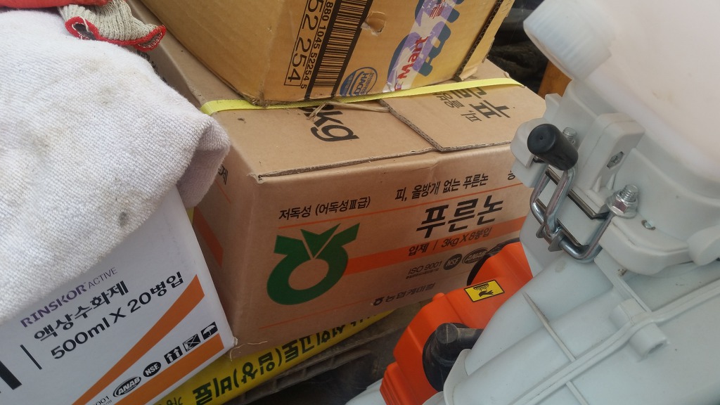 푸른내일중기 이미지